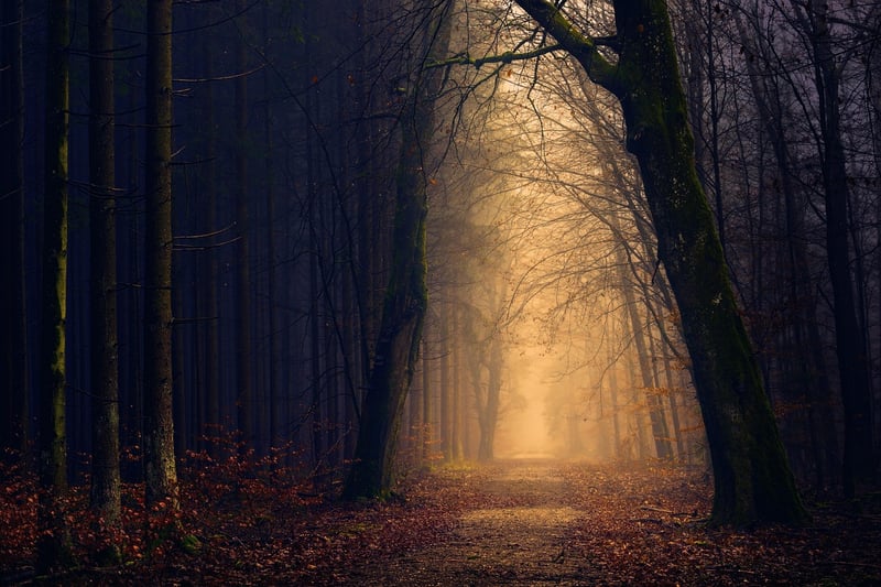 Mystery and Secrets
